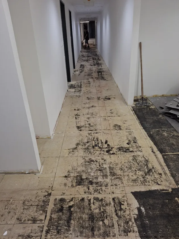 h1 modúlszőnyeg előtte